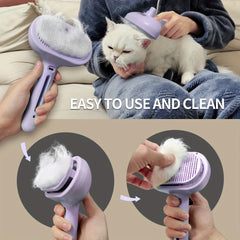Multifunctional cat steam brush – USB charging pet grooming tool for shedding and cleaning