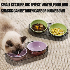 1PC Cat Bowl Double Bowl Plastic Candy Color Oblique Mouth To Protect The Cervical Vertebrae And Prevent Tipping Cat Food Bowl C