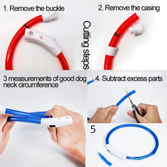 Size customizable New Dog Luminous Collar Bright Dog Collar Glowing Led Light Dog Collar Light Night Safety GXQ02