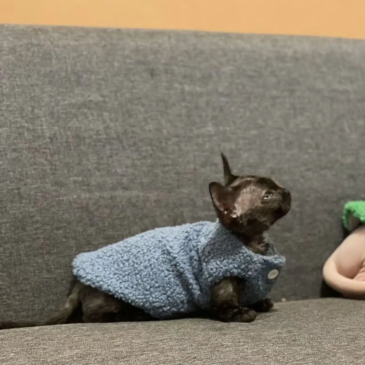 Cat clothes, warm lamb wool vest, autumn and winter teddy pomeranian pet winter clothes, cute korean clothes