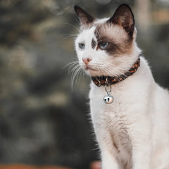 6pcs 16MM Cat Dog Bell For Cat Bells Pendant Bells Copper Bell Accessory multiuse Pet Pendan with Key Rings Decoration
