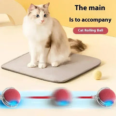 Cat Toys Electric Dog Ball Toys Automatic Rolling Ball Rechargeable Pet Interactive Plush Toy Dog Cat Training Imitate Mouse