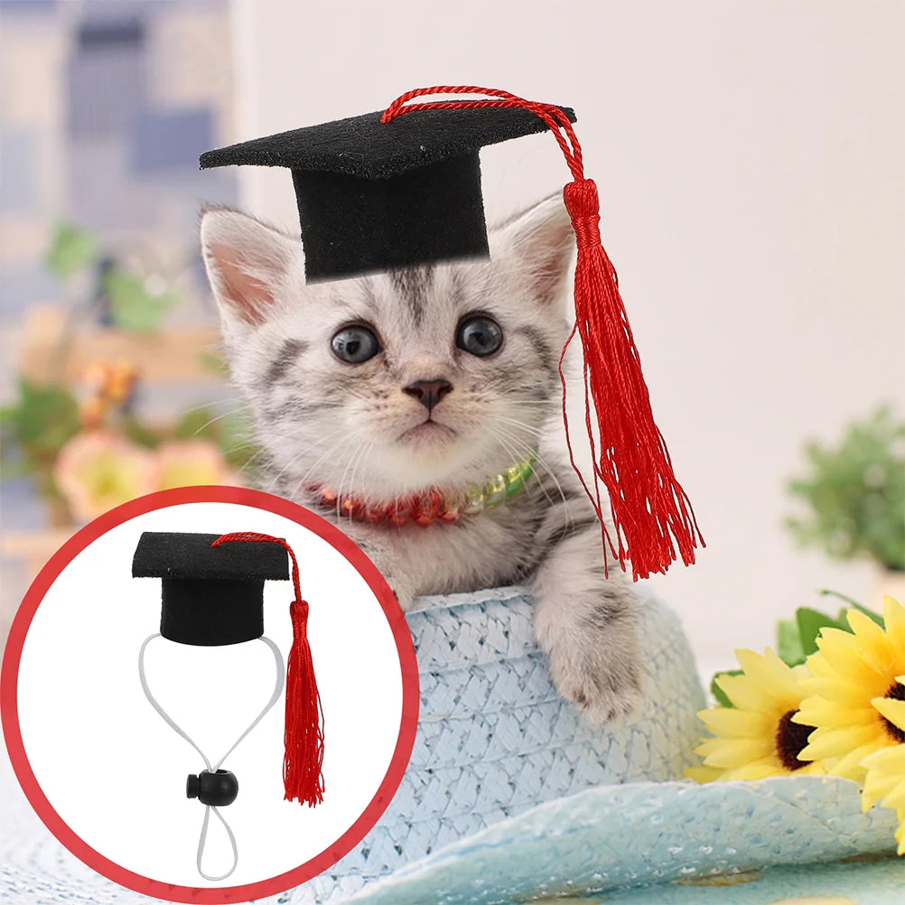 2 Pcs Elastic Doctorial Hat Gift Creative Doctoral Caps Top Graduation Dog Dr Multi-purpose Felt Cloth Pet Supply Puppy Man