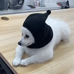 Autumn and winter pet cat and dog hats with fleece warmth hats, Halloween and Christmas pet clothing and supplies