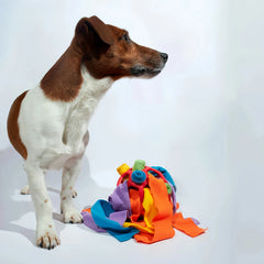 1pc Ball Dog Toy, Food Hide Bubble Rubber Ball for Sniffing, Mental Stimulation, Chew-Proof, Intelligence Development