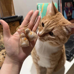 Ginger Cat Keychain Pendant Backpack Siamese Calico Hair Storage Box Hanging Pet Grooming Souvenir Travel Accessory