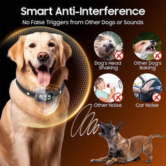 New Pet Dog Barking Collar with Sound Vibration Shock IP67 Waterproof Functions Smart Dog Sound Recognition System TFT screen