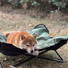 New 3-in-1 Camping Cot for Dogs Elevated Dog Bed with Steel Frame 600D Oxford Waterproof Puppy Rest Beds with Removable Pad Mat