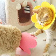 Pet Protective Collar Cat Dogs Health Medical Circle Dog Neck Cone Recovery Cone Collar for Anti-Bite Lick Surgery Wound Healing