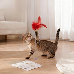 5pcs Cat Teaser Stick Toy Spring Suction Cup Feather Squeaky Interactive Kitten Toy Bite-resistant Training Cat Toy Supplies