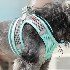 Dog Harness Leash Set for Small Dogs French Bulldog Chihuahua Pug Outdoor Walking Lead Leash Adjustable Puppy Cat Harness Vest