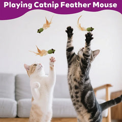 Mouse Cat Toys Catnip Feather Ball Self Cleaning Teeth Interactive Home Chasing Game Toy Products Cat Mint Ball Training Toys