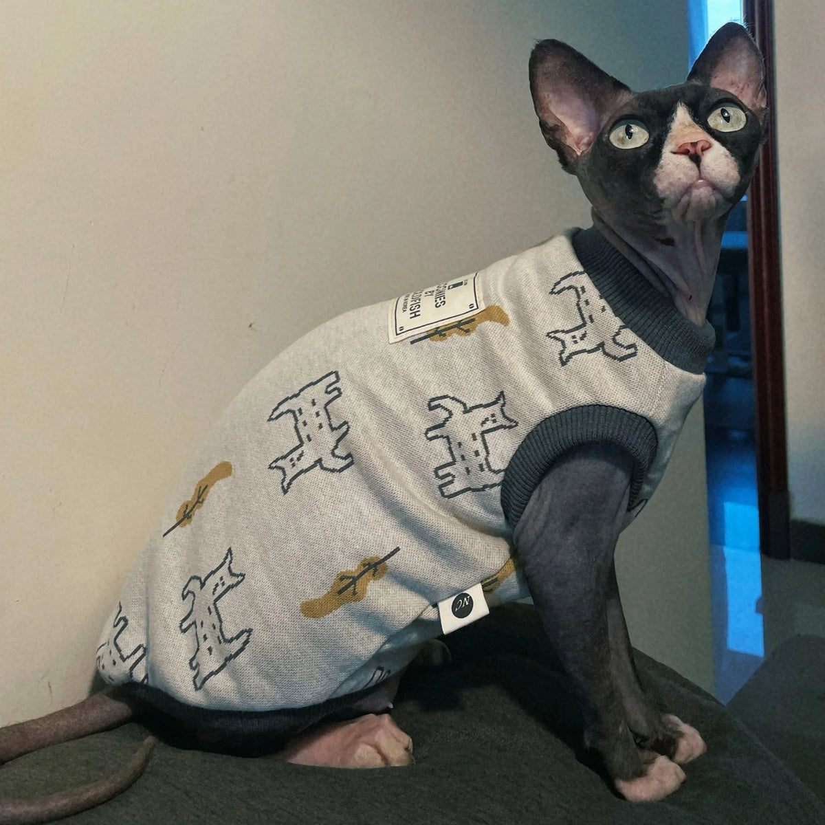 Soft Cartoon Clothing for Hairless Cat Yarn Dyed Cotton Vest for Cats in Spring Autumn Cute Warm Short Sleeves Coat for Kittens