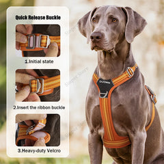 Dog Harness and Leash Set for Large Dogs Heavy Duty No Pull Service Dog Vest with Dog Seat Belt Reflective Adjustable Pet Harnes