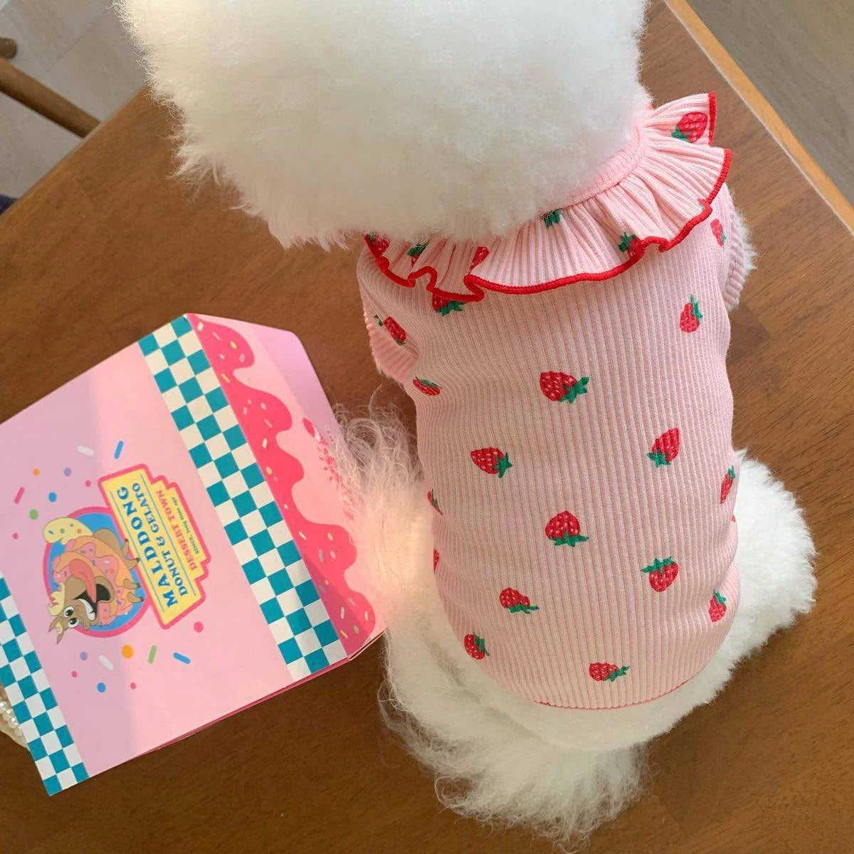 Summer Breathable Pet Clothing for Cat Cute Dog Clothing for Small Dog Vest Ruffled Strawberry Small Cat Clothes Pet Clothes