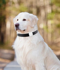 Mini Pet GPS Locator Tracker Waterproof Bluetooth-compatible Tracking Dog Cat Collar Anti-Lost Finder Device Pet Supplies