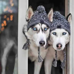 Winter Warm Dog Hats Windproof Knitting French Bulldog Hat Chihuahua Fluffy Ball Pet Hat Four Season Universal Puppy Accessories