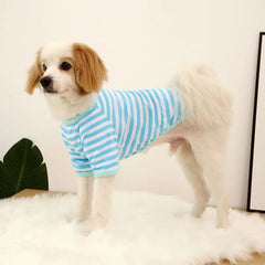 S-xxl Dog Clothes Dogs Vest Cat Costume Cooling Shirt Small Chihuahua Sweatshirt Xs Summer Pet Tank Top Pug Puppy Accessories