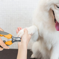 Pet Nail Clippers with Sickle Large Dog Nail Clippers Stainless Steel Grooming Scissors Nail Clippers Multifunctional Teddy Cat