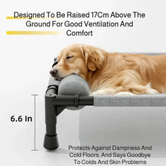 Elevated Pet Bed for Dogs & Cats Durable Breathable Cat Bed with Slope Headrest Washable Pet Bed Cat House for All-Season Use