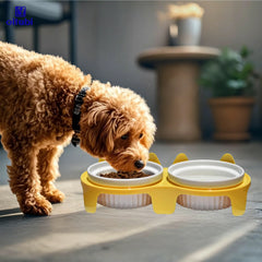 Oitabi Cat Ceramic Bowls Dog Food Bowls Elevated Tilted Anti Vomiting Kitty Bowl for Puppy and Bunny Orthopedic for Indoor Cats