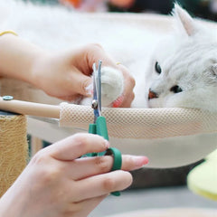 High-quality Grooming Shears Dog Scissors Hair Scissors Cleaning Tools Stainless Steel Pet Removal Dog Wool Trimmer Pet Products
