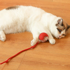 2PC/1PC Cat Interactive Ball Toys Automatic Rolling Ball Rechargeable Self Rotating Ball Fast Rolling Ball for Indoor Cat Kitten