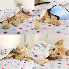Coral Fleece Pet Blanket with Cute Dot Pattern - Soft Fluffy Warm Bed Mat, Universal for Cats & Small/Large Dogs