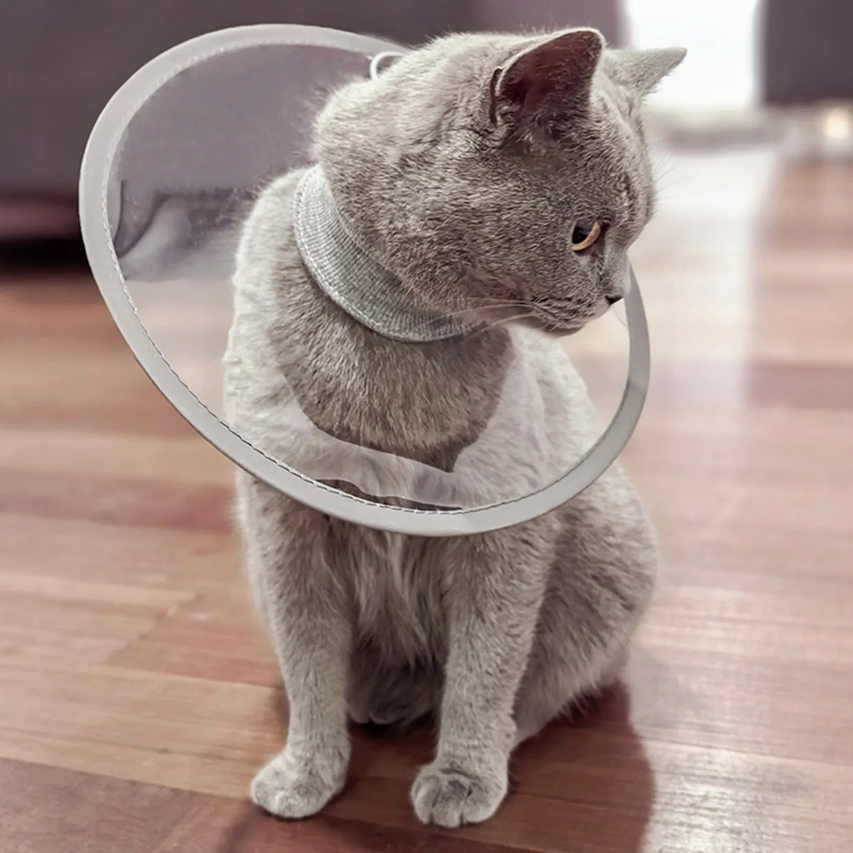 Pet Cat Protective Collar Neck Recovery Cone Collar For Anti-Bite Lick Reusable Cat Dogs Lightweight Circle For Pet Supplies