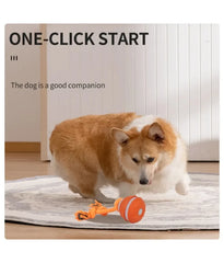 Pet Ball for Dogs Interactive Toys Motion Activate Rolling Ball for Puppy/Small Dogs Automatic Moving Toy USB Rechargeable Toy