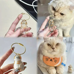 Ginger Cat Keychain Pendant Backpack Siamese Calico Hair Storage Box Hanging Pet Grooming Souvenir Travel Accessory
