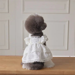 Casual Cotton+Lace Pet Flying Sleeve Skirt Breathable XS~XL Cat Top White Pet Princess Dress Cat Dog