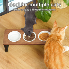 Bamboo Tilted Dual Pet Bowl Stand, Anti-Slip Elevated Dog Cat Feeder with 3 Ceramic Bowls for Neck Relief