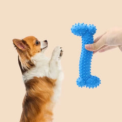 Soft Rubber Pet Chew Toy Bone Shape Bite-Resistant Teeth Grinding Chewing Toys for Small Dogs Training Pet Supplies