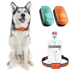 Waterproof 4g Gps Tracker for Cat 3d G-sensor Gps Locator Long Standby Anti-loss Tracker Collar Real Time Positioning for Dogs