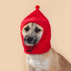 Autumn and winter pet cat and dog hats with fleece warmth hats, Halloween and Christmas pet clothing and supplies