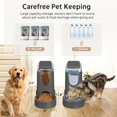 2 Pack Automatic Cat Feeder and Stainless Steel Water Dispenser, Gravity Dog Waterer Set Food Feeder and Waterer Set for Small M