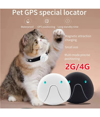 4G SIM Card Pet Tracker Real Time Pet Cat Dog GPS Tracking Collars Smart Pet Activity Monitor Tracking Device