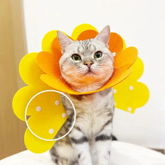 Pet Protective Collar Cat Dogs Health Medical Circle Dog Neck Cone Recovery Cone Collar for Anti-Bite Lick Surgery Wound Healing