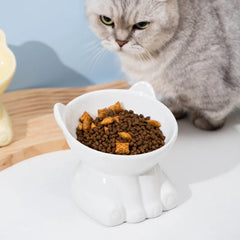 Washable Plastic Cat Bowl Cute Diagonal Big Feet Design Protect Cervical Spine Pet Drinking Bowl for Cat Dog Pet Supplies
