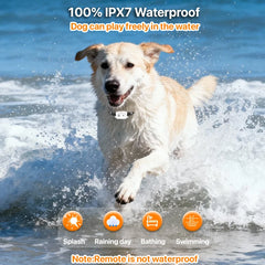 3300ft Pet Dog Training Collar with IP67 Waterproof Shock Vibration Sound Functions for Behavior Correction Remote controlled