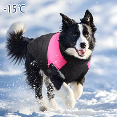 Pet Thickened Coat Clothing Autumn/Winter Dog Clothing Cat Clothes Golden Retriever Big Dog Labrador Bichon Cat Supplies