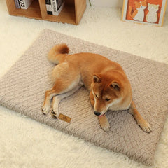 Winter Warm Dog Bed Mat Short Plush Soft Pet Sleeping Pad for Small Medium Dogs Cats Removable Dog Sleep Cushion Pet Supplies