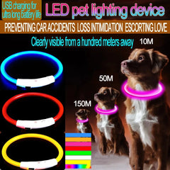 Size customizable New Dog Luminous Collar Bright Dog Collar Glowing Led Light Dog Collar Light Night Safety GXQ02
