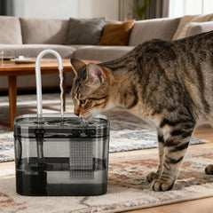1.5L Cat Water Fountain with USB Auto Filter Recirculate Transparent Black Cat Drinker Automatic Pet Drinking Dispenser