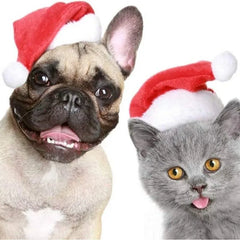Christmas Pet Santa Hat Red Plush Soft Holiday Cap for Dogs and Cats Festive Party Costume Accessory Cute Photoshoot Decoration
