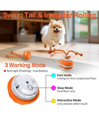 Pet Ball for Dogs Interactive Toys Motion Activate Rolling Ball for Puppy/Small Dogs Automatic Moving Toy USB Rechargeable Toy