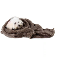 New Soft Pet Blanket Spring Warm Dog Bed Blanket Cute Pet Sheets Warm Mat Comfortable Cat Dog Pad Blanket Pet Accessories