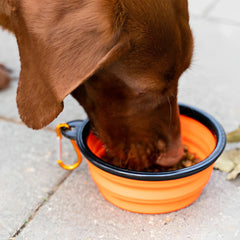 Silicone Portable Pet Folding Bowl 350/1000ML Cat Feeder with Hanging Hook Outdoor Cat Cat Food Bowl Pet Accessories
