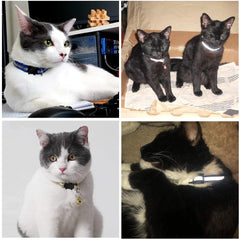 Reflective Nylon Cat Collar Bell Pet Products Small Large Cat Collar Soft Padded Unisex Kitten Supplies Cat Tag Small Dog Collar